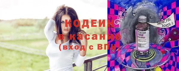 прущий лед Алзамай